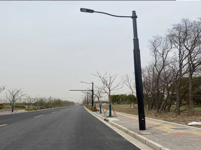 汉阳区上海综合杆 太阳能路灯工程
